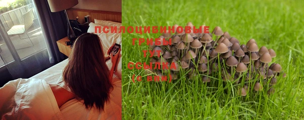 эйфоретик Богданович