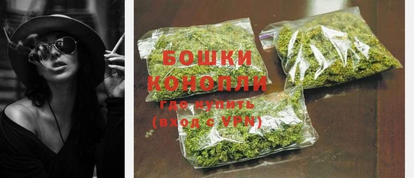 прущие грибы Богородск