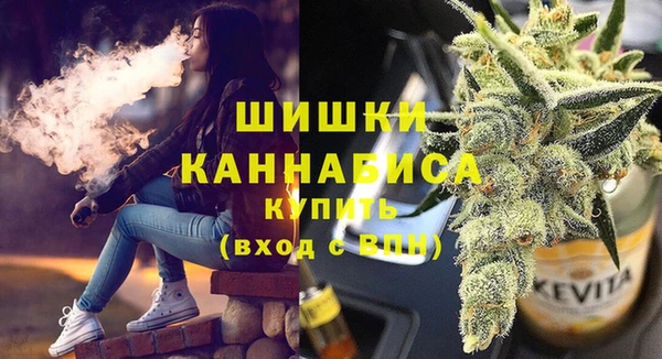 прущие грибы Богородск