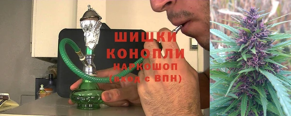 эйфоретик Богданович